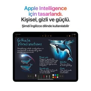 Apple iPad Air 7. Nesil M3 128GB Wi-Fi 13'' Tablet - Uzay Gri