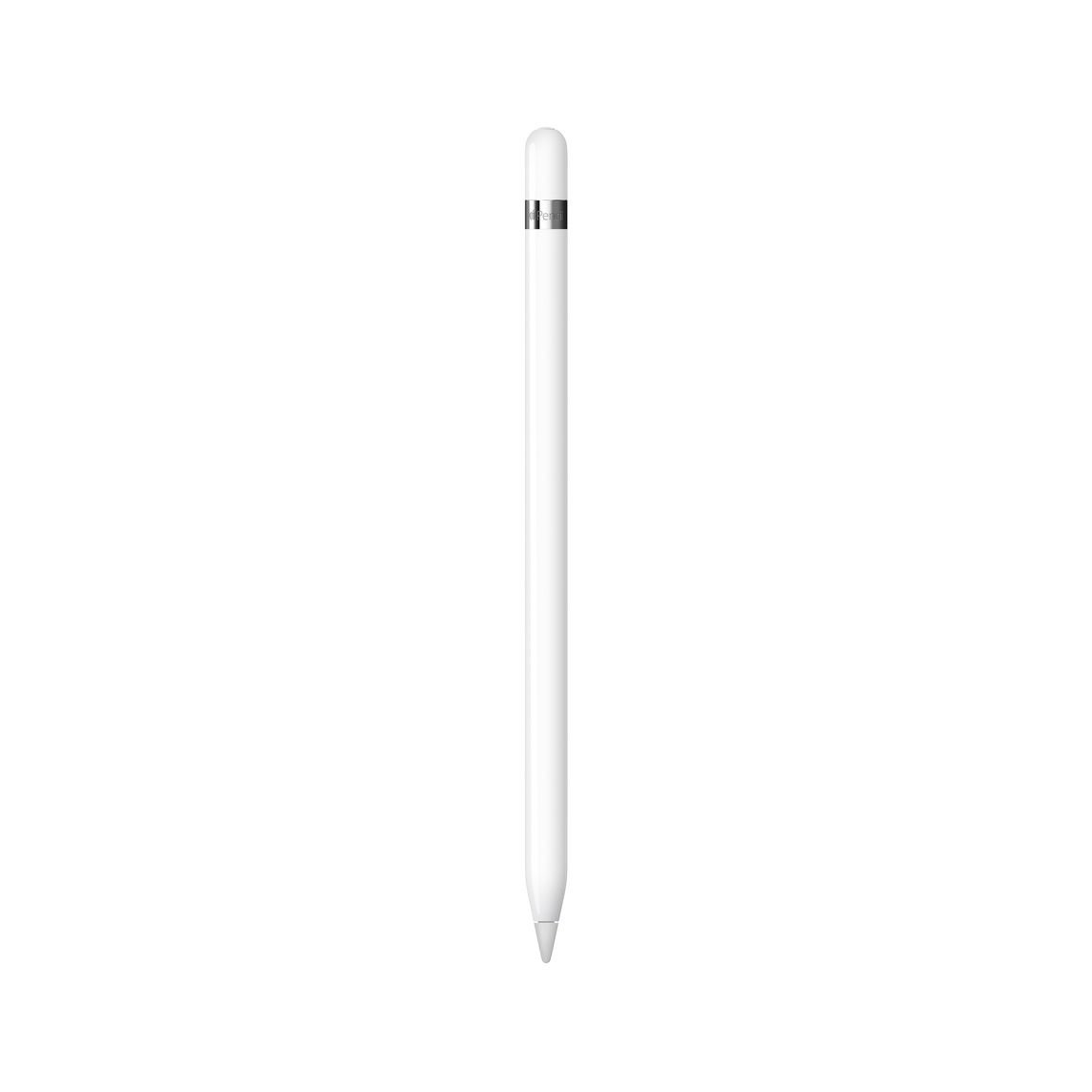 Apple Pencil ( 1. Nesil )